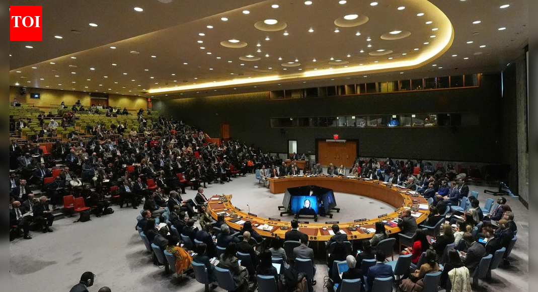 ‘Divisive agenda’: India slams Pakistan at UN; responds to ‘unwarranted’ reference to J&K | India News