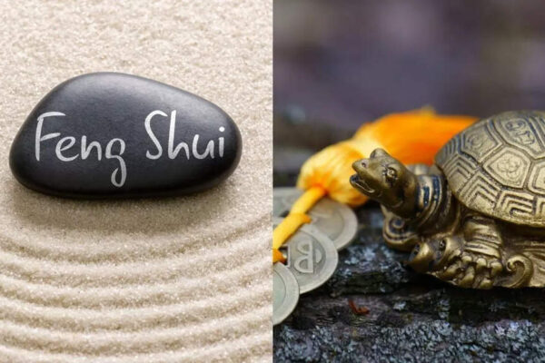 Why is Tortoise considered sacred in Feng Shui? What’s the right way to place it |