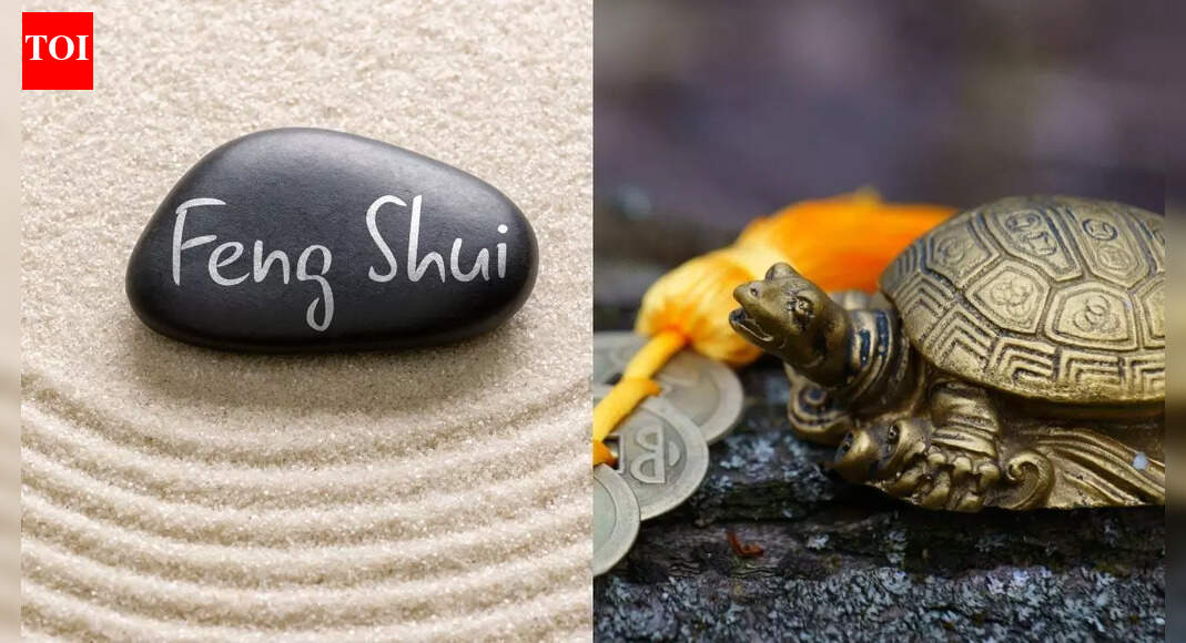 Why is Tortoise considered sacred in Feng Shui? What’s the right way to place it |