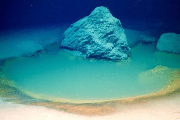 What is ocean’s ‘lake of death’? What happens when marine life enters one of deadliest underwater spots |