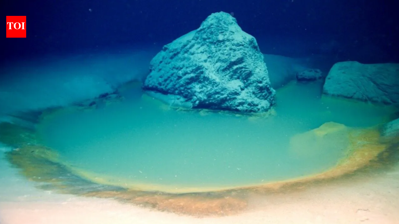 What is ocean’s ‘lake of death’? What happens when marine life enters one of deadliest underwater spots |