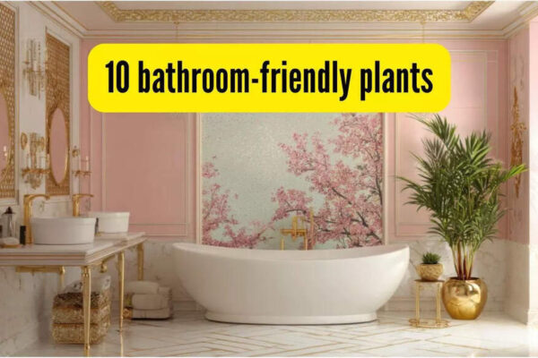 10 bathroom-friendly plants that purify air and thrive in indirect sunlight