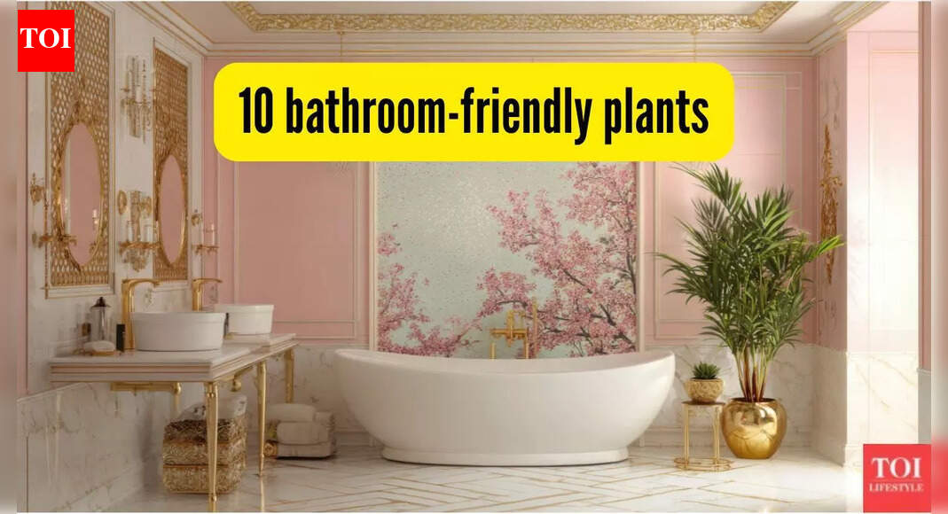 10 bathroom-friendly plants that purify air and thrive in indirect sunlight
