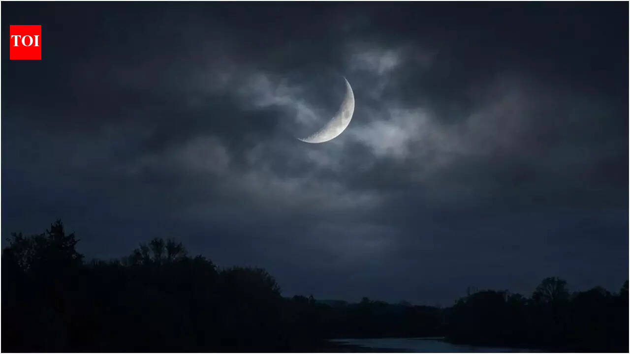 Mauni Amavasya 2026: 6 Planets in Saturn-ruled signs; A powerful day to release karmic burdens with zodiac-based ho‘oponopono prayers