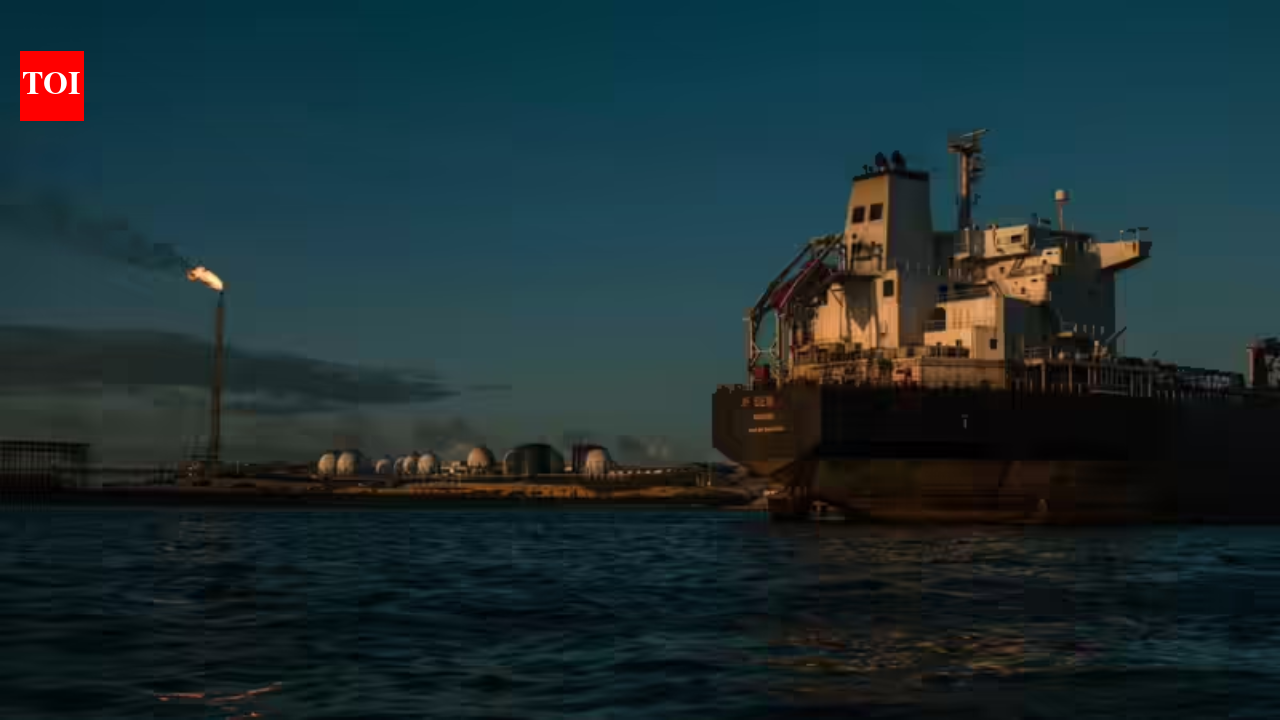 ‘Subject to judicial process’: Embassy on Indian crew detained in Iran; seeks ‘consular access’