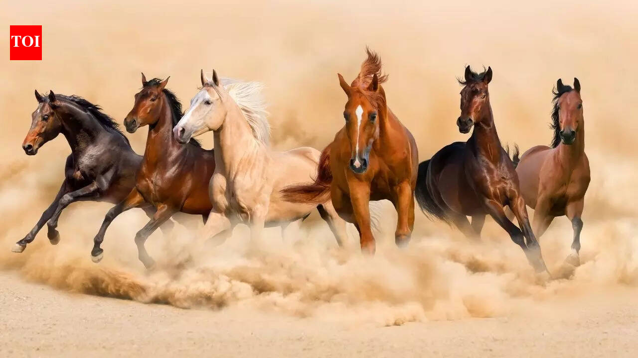 These paintings on your drawing room walls can change your life