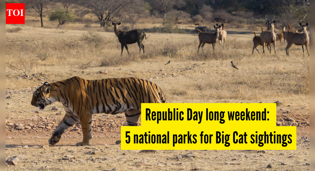 Republic Day long weekend: 5 national parks for Big Cat sightings