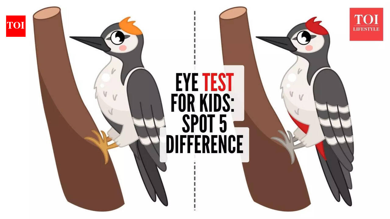 It takes less than 5 minutes: Why this simple spot the difference challenge helps kids think better |