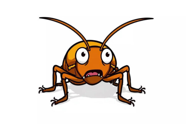 Cockroaches become more cautious and change their behaviour after stress, scientists discover