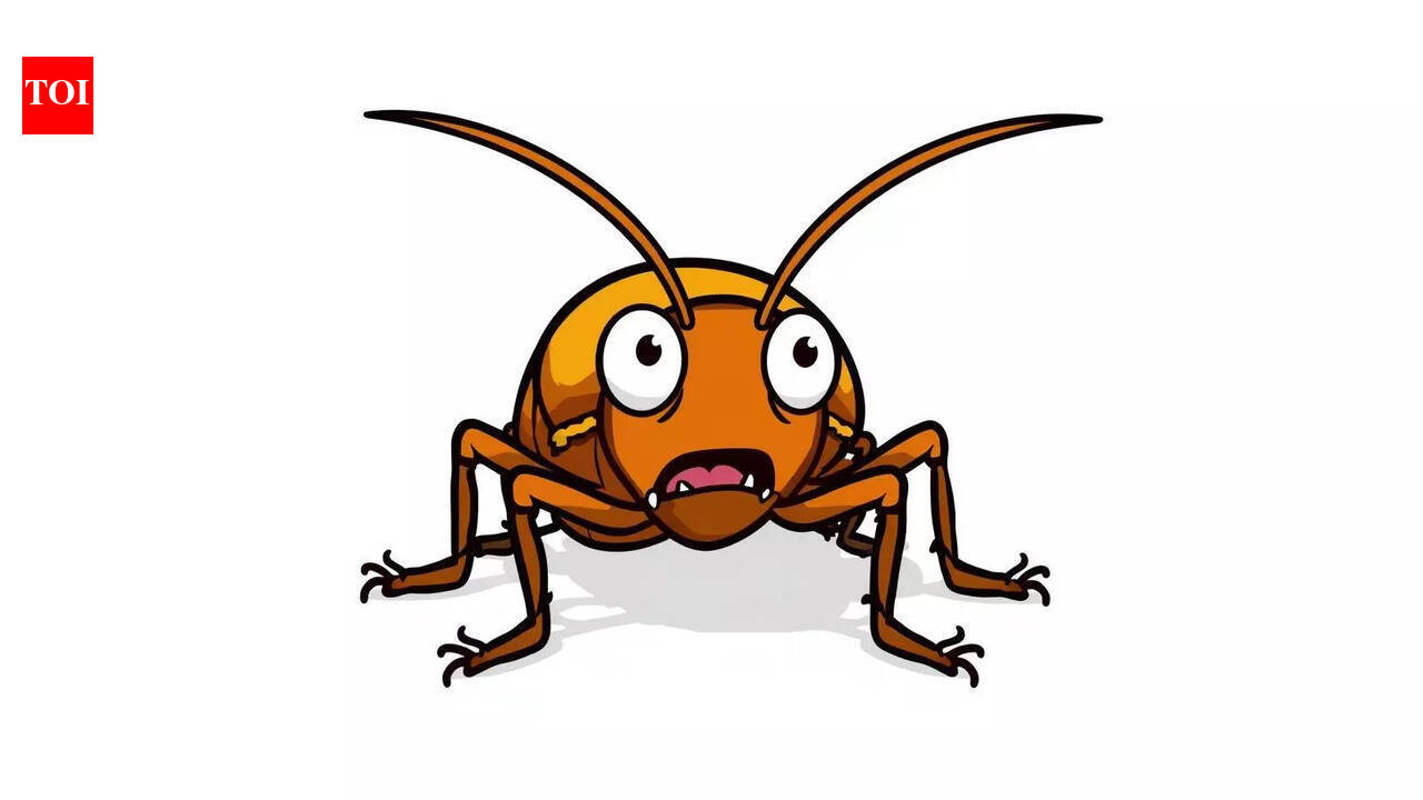 Cockroaches become more cautious and change their behaviour after stress, scientists discover