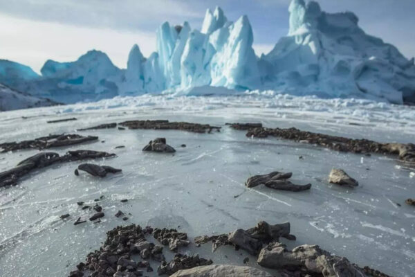 Baby dinosaur fossils found in Arctic permafrost reveal how dinosaurs survived polar winters