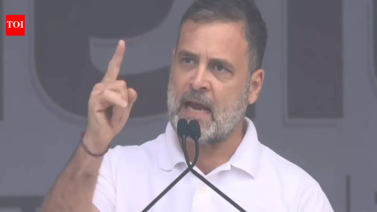 ‘Roads kill, bridges kill, fires kill’: Rahul Gandhi reacts to Noida techie death; levels ‘TINA’ charge at govt