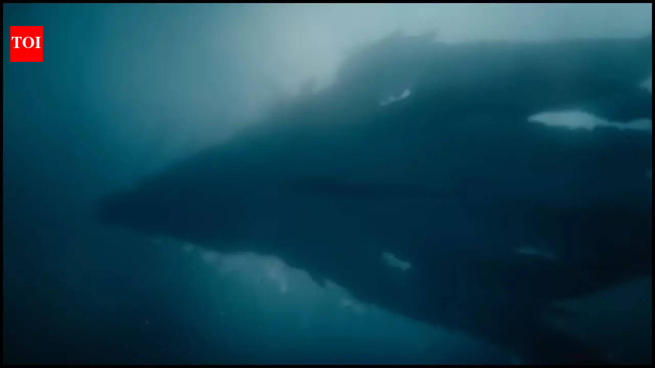 ‘Monarch: Legacy of Monsters 2’ pays an ode to the OG King Kong and Godzilla stories – Here’s what we know