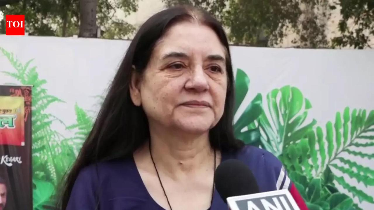 NEW DELHI: The Supreme Court on Tuesday expressed displeasure over former Union minister Maneka Gandhi’s criticism of the apex court’s order in the stray dog case. Though the court said that the remarks qualified as “contempt”, it had decided not to go ahead with the charges “due to its magnanimity.”The top court further questioned the BJP leader what “budgetary allocation” she had helped in getting for solving stray dogs problem.The Supreme Court, earlier this month, reviewed the stray dog issue in Delhi-NCR after a rise in dog bite cases. The judges said public safety must come first, especially in places like schools, hospitals, and railway stations.  Six Sarpanches Booked in Kamareddy for Mass Killing of Stray Dogs Ahead of Elections They also said people who feed stray dogs should act responsibly. The court questioned who would be held responsible if a dog attacks someone and said that those who want to care for dogs should keep them as licensed pets rather than letting them roam freely.Last year, the SC had directed that stray dogs be removed from the premises of educational institutions, hospitals, and bus and railway stations, and ruled that they should not be returned to the same areas after sterilisation.Maneka had criticised this order saying: “This is as bad as or even worse than Justice Pardiwala’s judgement. This cannot be put into practice…If 5000 dogs are removed, where will you keep them? You need 50 shelters…But you do not have that. You need people to pick them up. What difference will removing 5000 dogs make? If there are 8 lakh dogs here, what will removing 5000 dogs change?…The question is that if this were possible, it would have been done…”About the AuthorTOI News DeskThe TOI News Desk comprises a dedicated and tireless team of journalists who operate around the clock to deliver the most current and comprehensive news and updates to the readers of The Times of India worldwide. With an unwavering commitment to excellence in journalism, our team is at the forefront of gathering, verifying, and presenting breaking news, in-depth analysis, and insightful reports on a wide range of topics. The TOI News Desk is your trusted source for staying informed and connected to the ever-evolving global landscape, ensuring that our readers are equipped with the latest developments that matter most.”Read MoreEnd of ArticleFollow Us On Social MediaVideosNew Global Index Puts India Ahead Of US And China, Shifting Debate From Power To ResponsibilityPM Modi Signals Generational Shift As Nitin Nabin Becomes New BJP President, Calls Him His BossOp Sindoor On Kartavya Path: IAF To Showcase How India Fights Modern Wars During R-Day ParadeDefence, Nuclear & Trade Push: Inside UAE Prez’s Short 3-Hour Trip To India, Meet With PM ModiPakistan Pushes To Broaden Saudi Defence Ties Into Wider Islamic World Security Alliance Like NATOBoost For India’s Defence Exports: Rajnath Flags Off First Batch Of Pinaka Guided Rockets To Armenia’MOUs Close To 1L Cr’: Himanta Biswa Sarma Seeks Investment As Assam Makes Davos Debut”Visit Marks Milestone In Strengthening India-UAE Partnership…” MEA On The Visit Of UAE PresidentIndia-US Trade Talks Ongoing In Complex Environment, Says Mukesh AghiBangladesh Admits 645 Minority Incidents In 2025 But Downplays Communal Angle Amid Hindu Killings123PhotostoriesAncient Devi Mantras According to Your Birth DateTamil Nadu temples get a lift: Preserving history, beating floodsHow to make Chef Sanjeev Kapoor-style Mushroom Galouti Kebabs for evening snacking5 OTT series that celebrate strong and complex female protagonistsMumbai’s Lokhandwala: 4 decades of dreams, demolition, and rising towers5 desi gobi dishes among the ’29 Best Dishes with Cauliflower’ as rated by top global culinary agency5 reasons why teens prefer texting over talkingTop period dramas to watch on OTT: ‘Bridgerton’, ‘House of the Dragon’, and moreQuote of the day by Sadhguru: “If you are willing to learn, life is constantly teaching.”How to make Kerala-Style Appam and Chicken Stew for lunch at home123Hot PicksSilver price todayBudget 2026Karnataka DGP ScandalGold price predictionNitin NabinPublic holidays January 2026Bank Holidays JanuaryTop TrendingMatthew StaffordJEE Main 2026Oskar Sundqvist InjuryAndrew CallaghanAtlanta Braves RumorsRoger FedererKlay ThomponJohn Harbaughs WifeBengaluru WeatherDC Robert Saleh