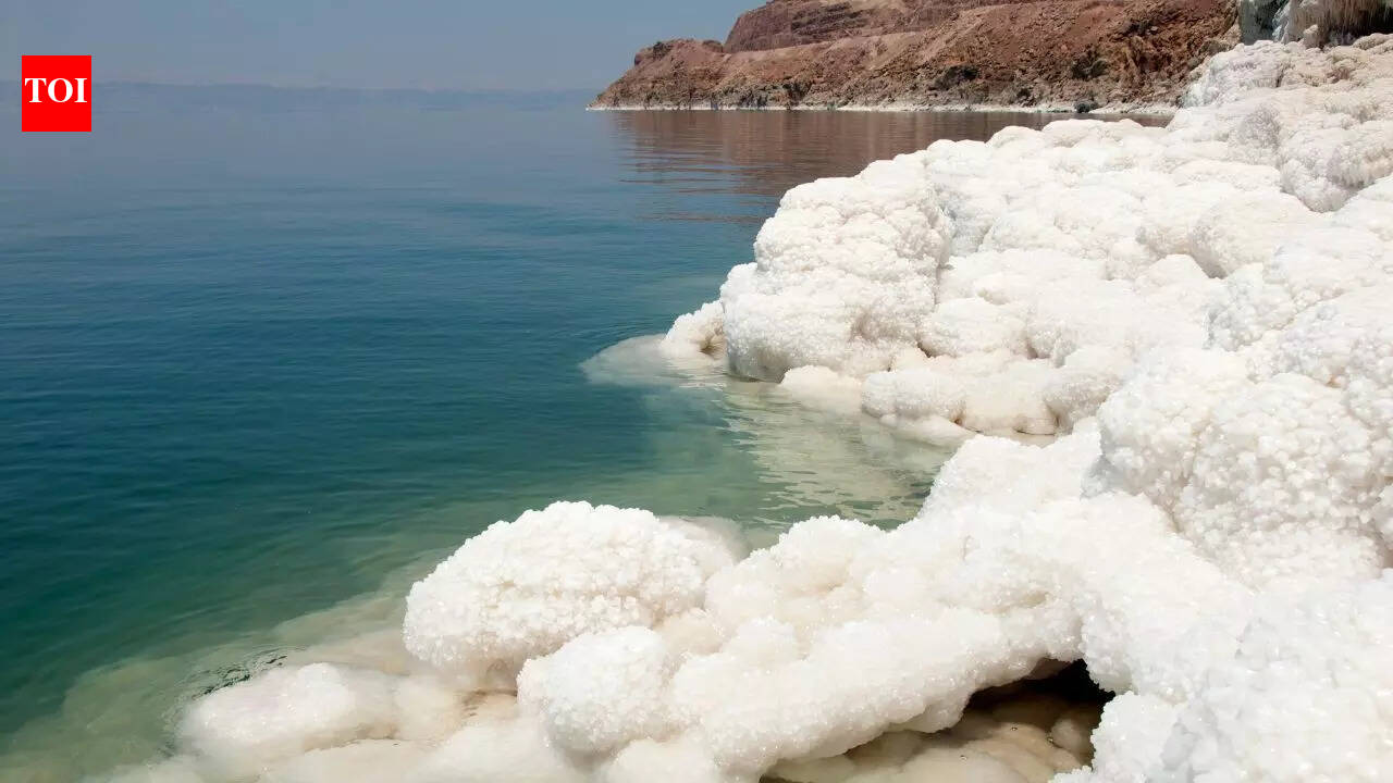 The Dead Sea will not be dead! It is slowly turning into a smaller, hotter lake