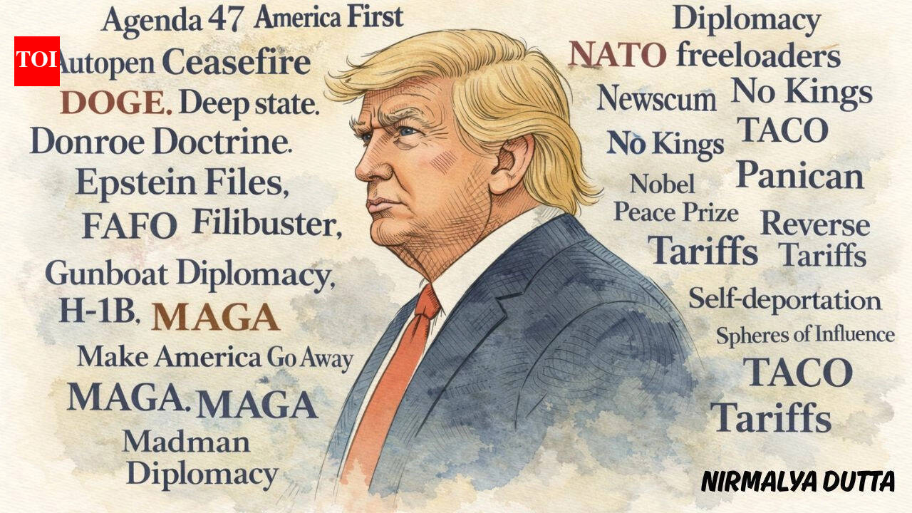 From FAFO to TACO – the terms that define Trump 2.0