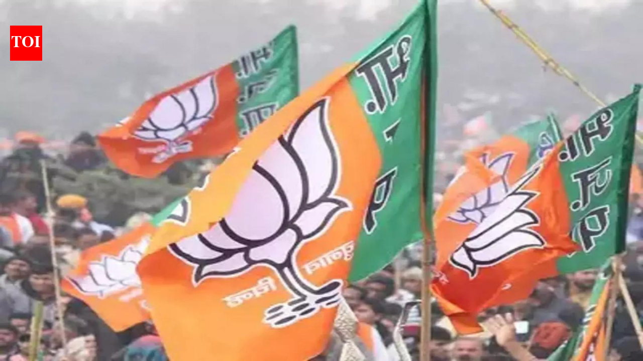 Voluntary contributions to BJP up 54% to Rs 6,125cr in 2024-25