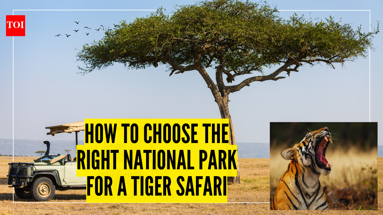How to choose the right national park for a tiger safari |