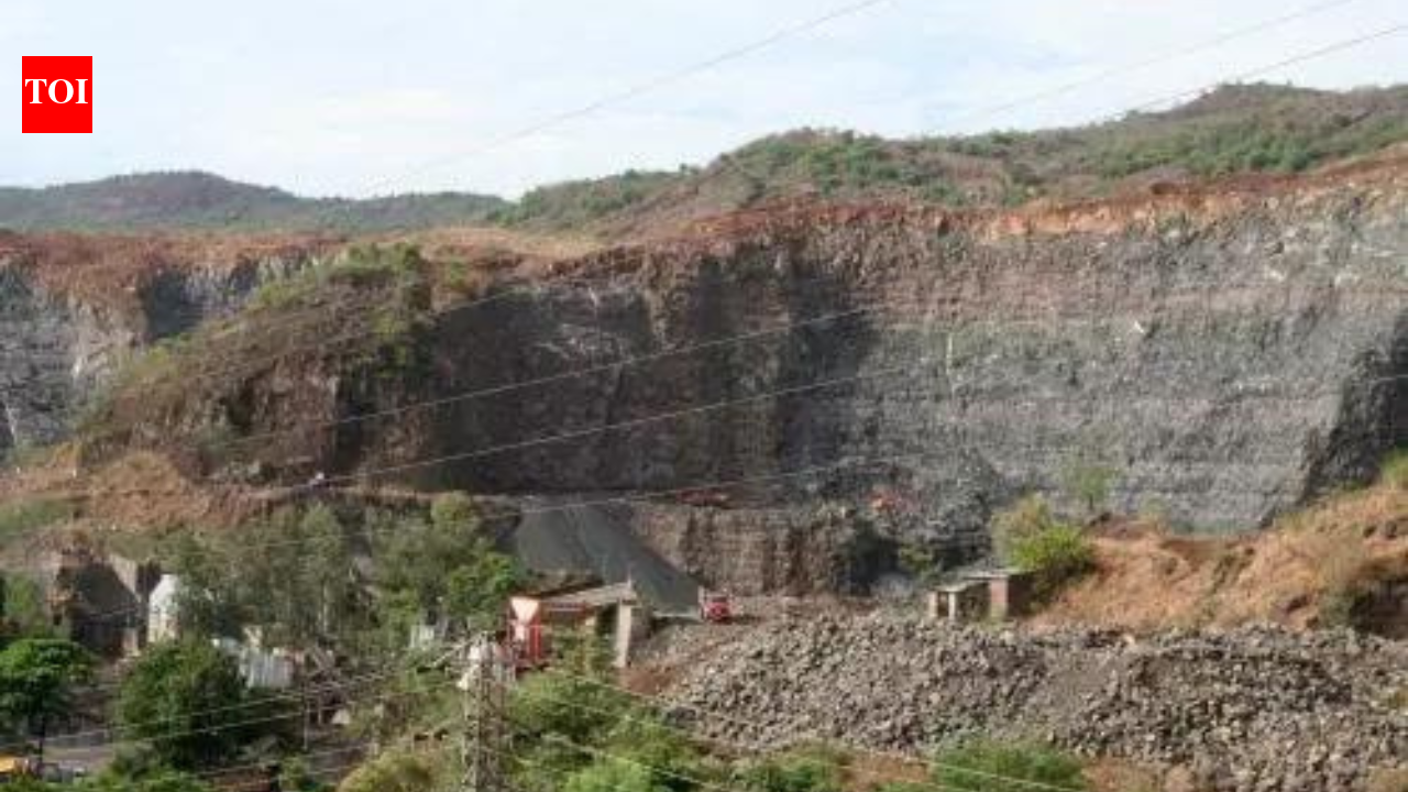 Govt notifies rules for use of Environmental (Protection) Fund | India News