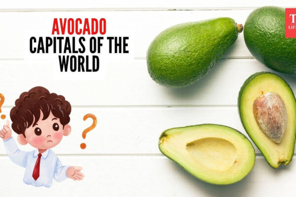 Curiosity Corner: Which place is the avocado capital of the world |