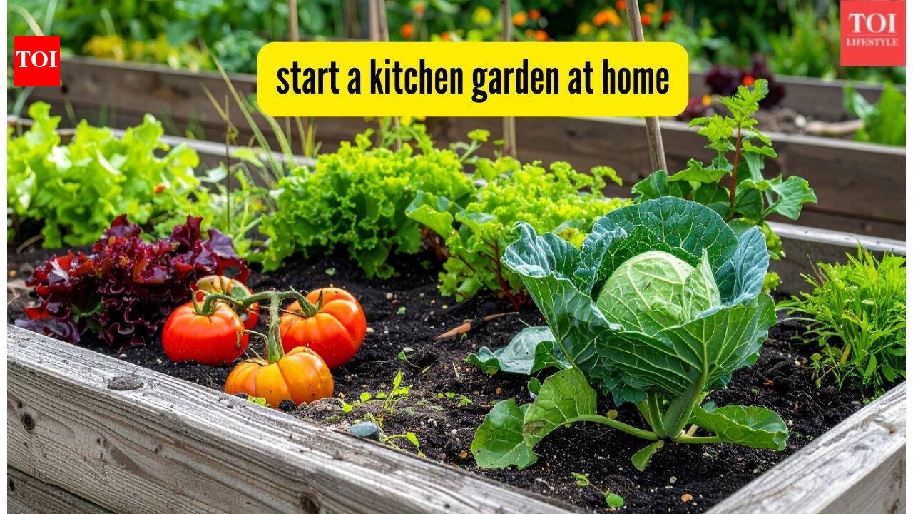 This is the best way to start a kitchen garden at home: A simple step-by-step guide |