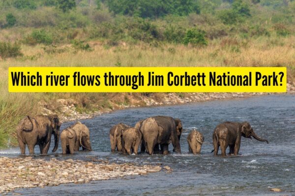 Which river flows through Jim Corbett National Park? |