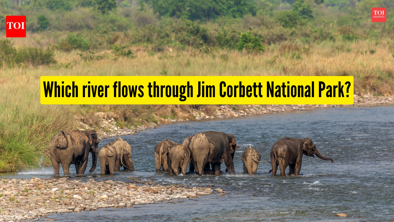 Which river flows through Jim Corbett National Park? |