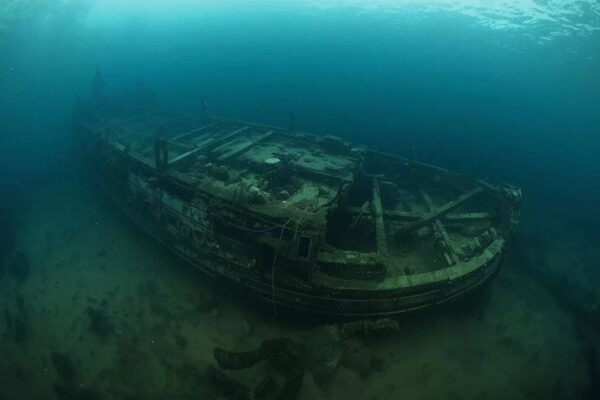 Denmark just uncovered a 600-year-old ship, the largest medieval cargo vessel ever found | World News