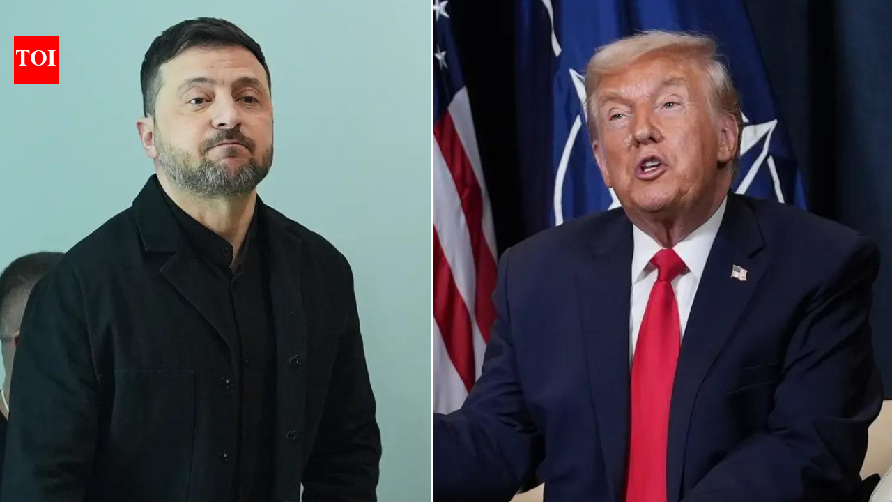 ‘Meeting was good’: Trump after talks Zelenskyy in Davos; has a message for Putin