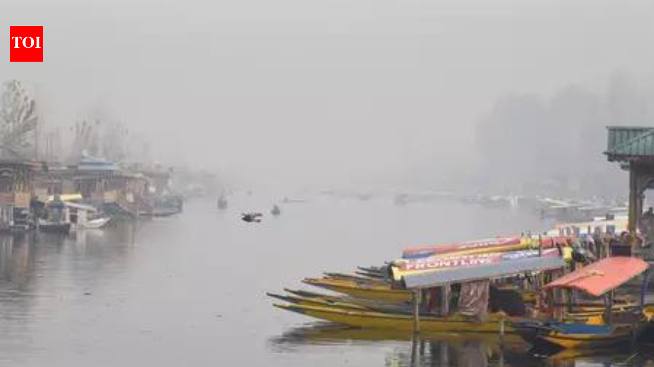 IMD predicts heavy snow in Jammu & Kashmir this week, 232 expectant moms hospitalised in Kulgam | India News