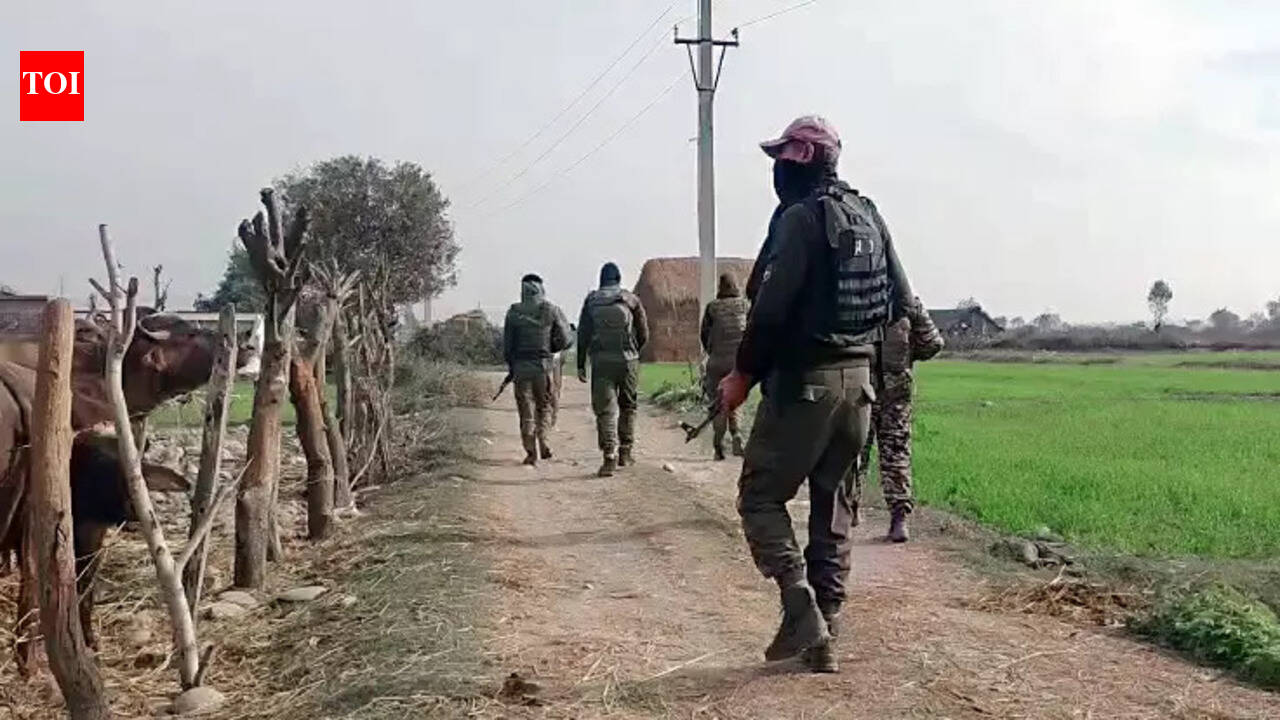 J&K encounter: Jaish terrorist killed in Kathua; was a Pakistani national | India News