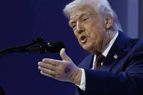 ‘Cosmic poetic justice’: Donald Trump’s estranged niece says uncle was ‘humiliating himself on daily basis’
