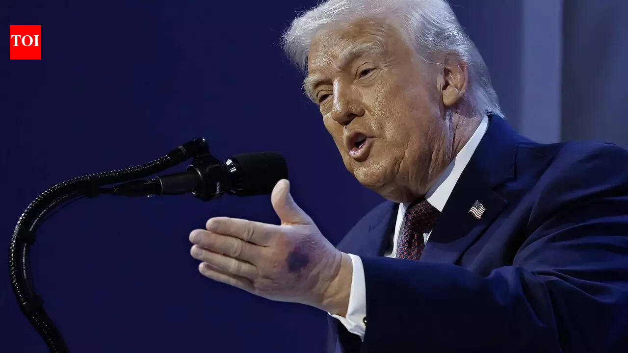 ‘Cosmic poetic justice’: Donald Trump’s estranged niece says uncle was ‘humiliating himself on daily basis’