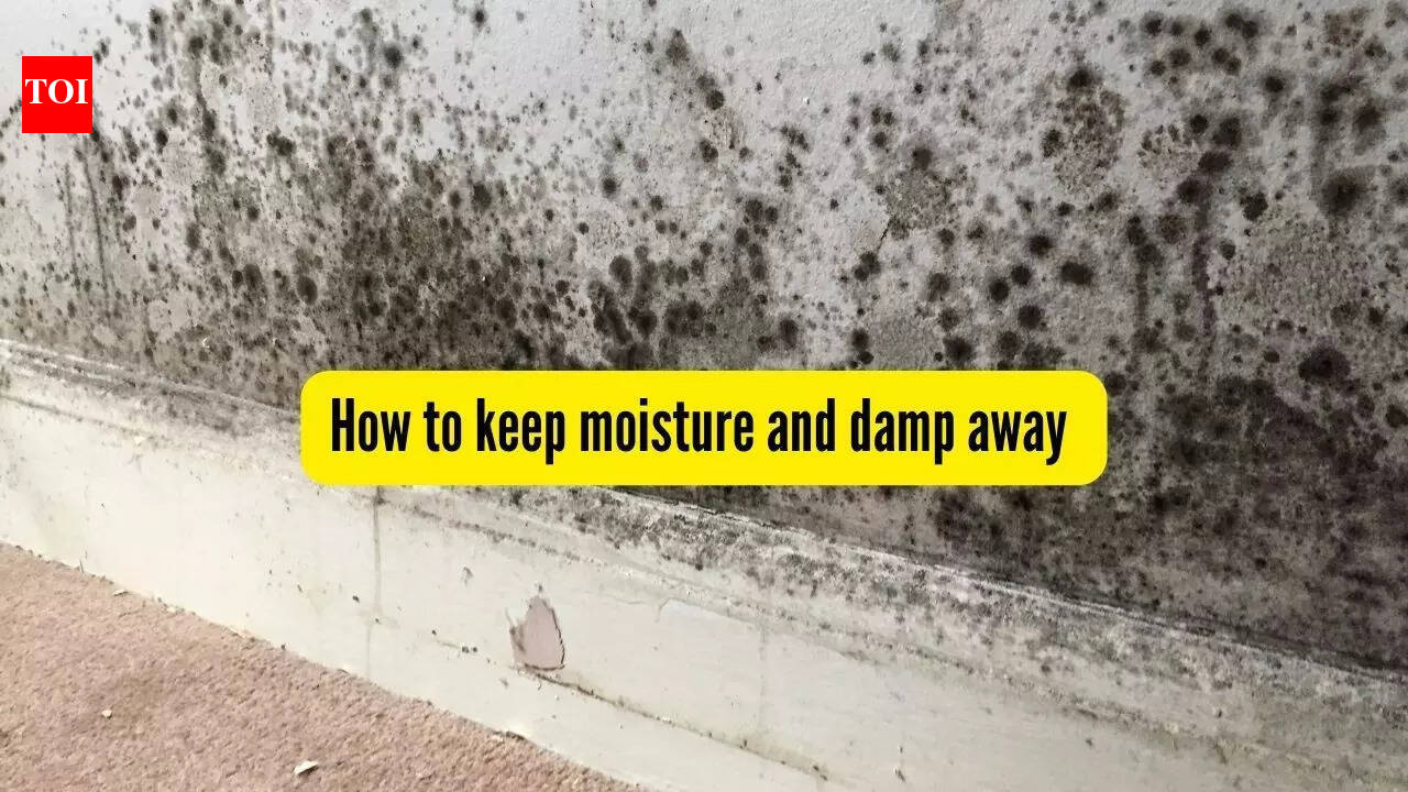 How to keep moisture and damp away from your walls and almirah