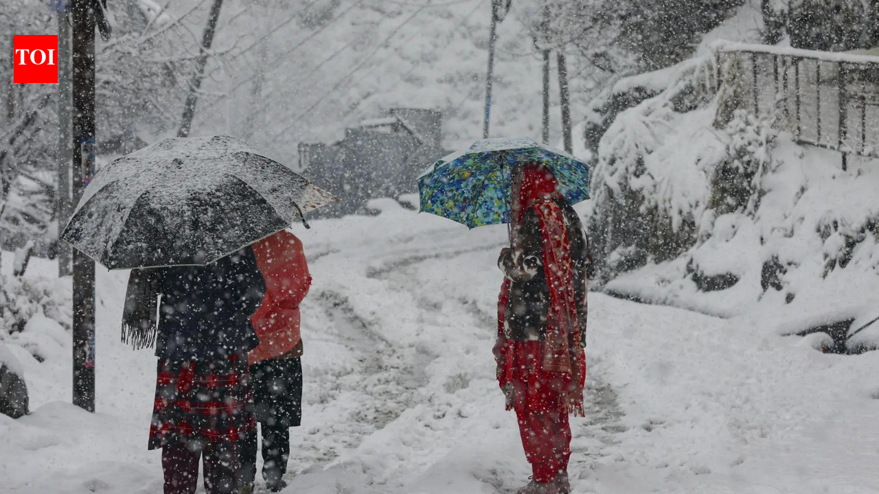 Snow & winds bring chaos to J&K: Roads blocked, flights paused, power hit, schools shut | India News