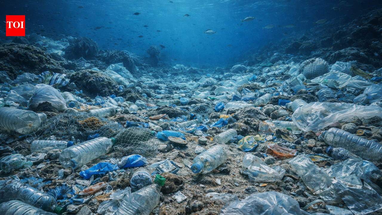 The ocean floor is turning into the world’s biggest plastic dump site killing hundreds of underwater species
