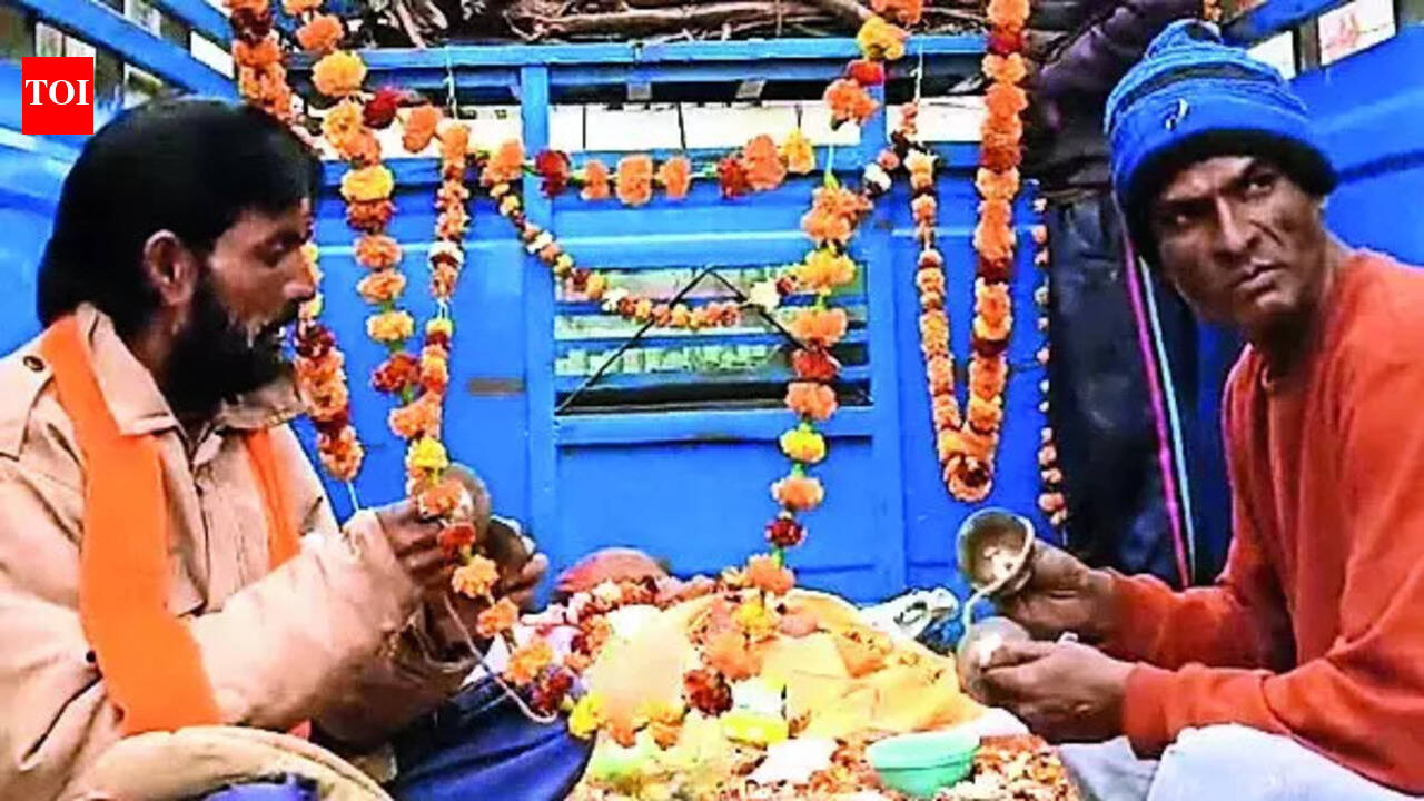 300 more killed, Telangana dog toll 900 in a month | India News