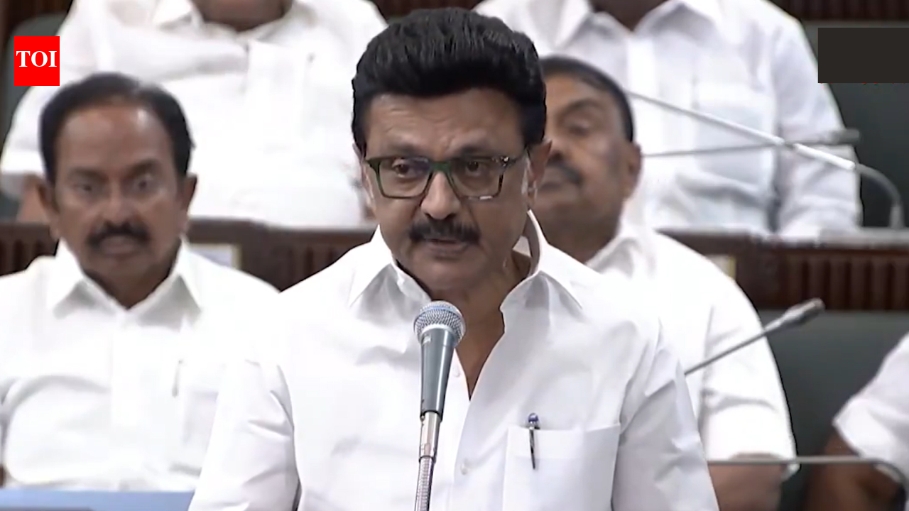 ‘Not inferior to anyone in patriotism’: Stalin hits out at Tamil Nadu governor Ravi, says no one needs to teach us | India News