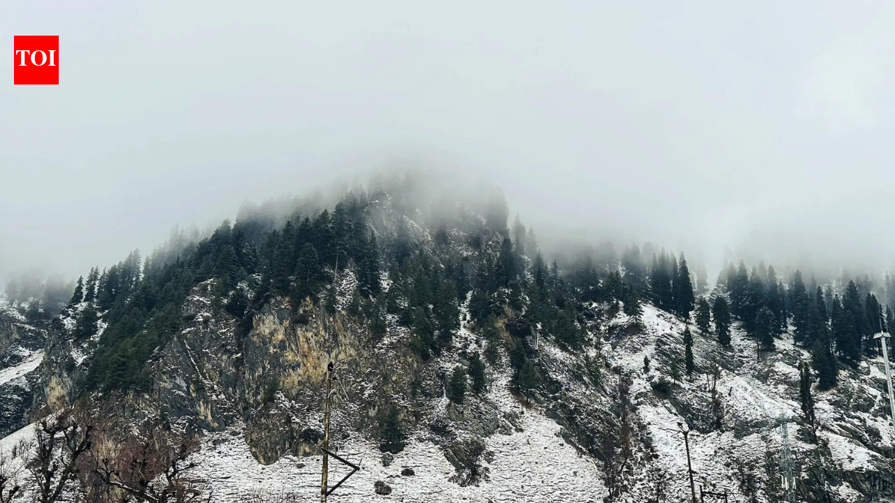 Avalanche alert: Uttarakhand issues warning for high-altitude areas; tourists advised to avoid travel | Dehradun News