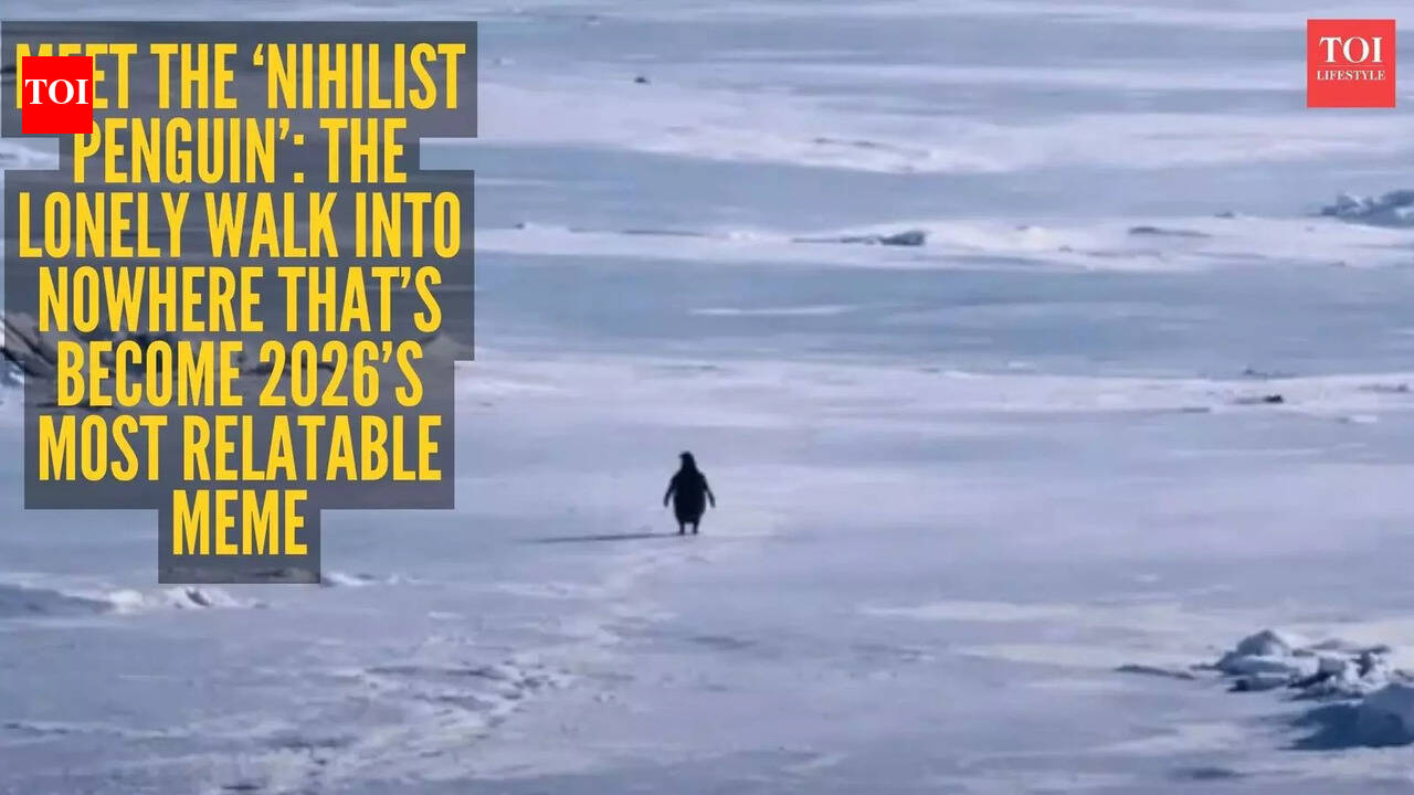 Explained: Why is a penguin’s ‘death march’ going viral? Know the meaning behind ‘Nihilist Penguin’ meme