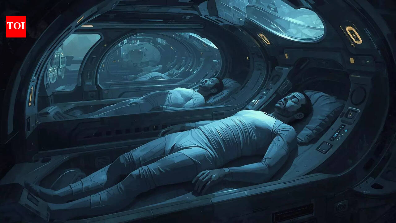 Could humans one day hibernate like bears? Scientists are now taking it seriously