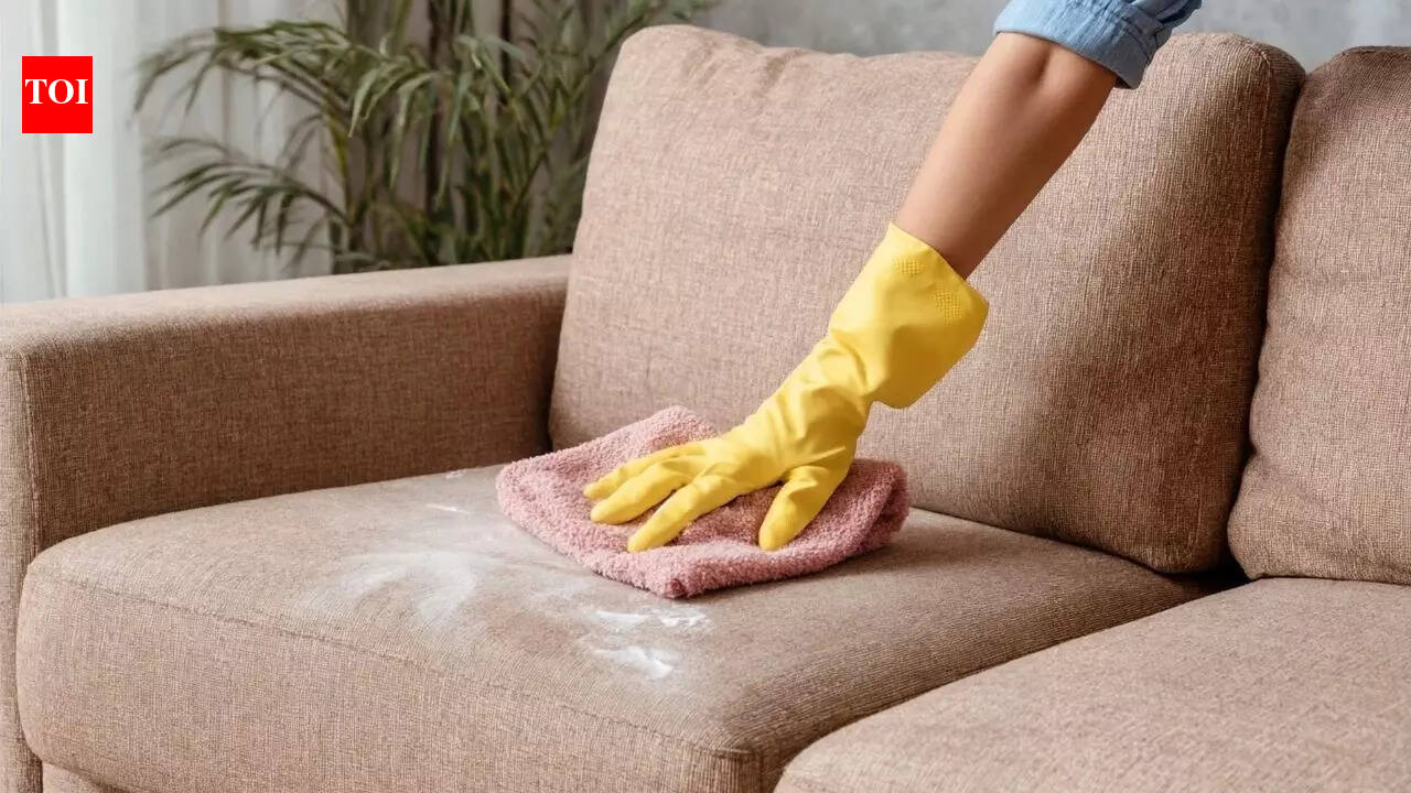 Don’t want to use harsh chemicals to clean your couch; here’s a trick to clean it naturally