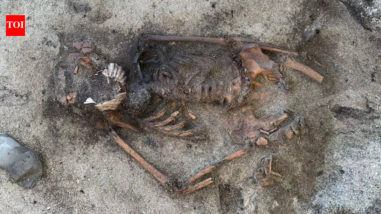 Sweden unearths a 5,000-year-old dog buried with a dagger, hints at elite treatment