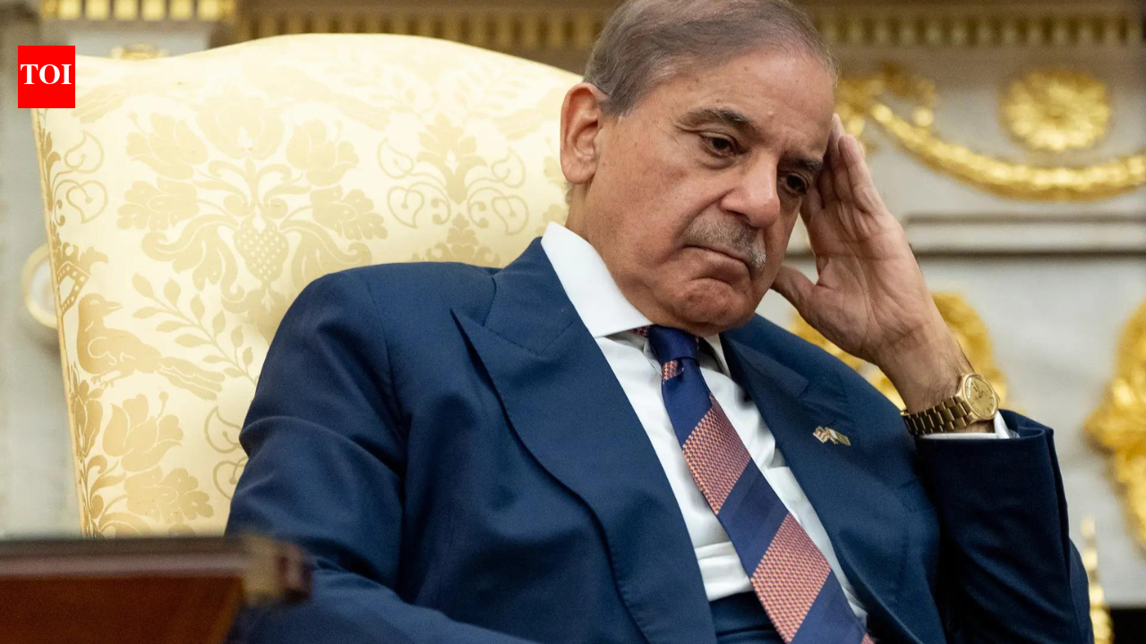 ‘Lost interest’: Days after President’s Delhi visit, UAE scraps its airport deal with Pakistan