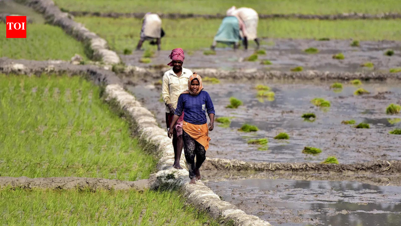 Agriculture scientists and innovative farmers get Padma Shri boost for their pioneering efforts | India News