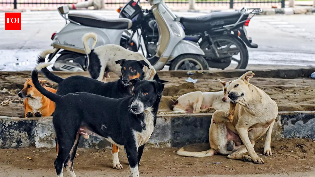 Mass dog killings rattles Telangana: 200 more canines found dead in Hanamkonda; toll rises to 1,100 | India News