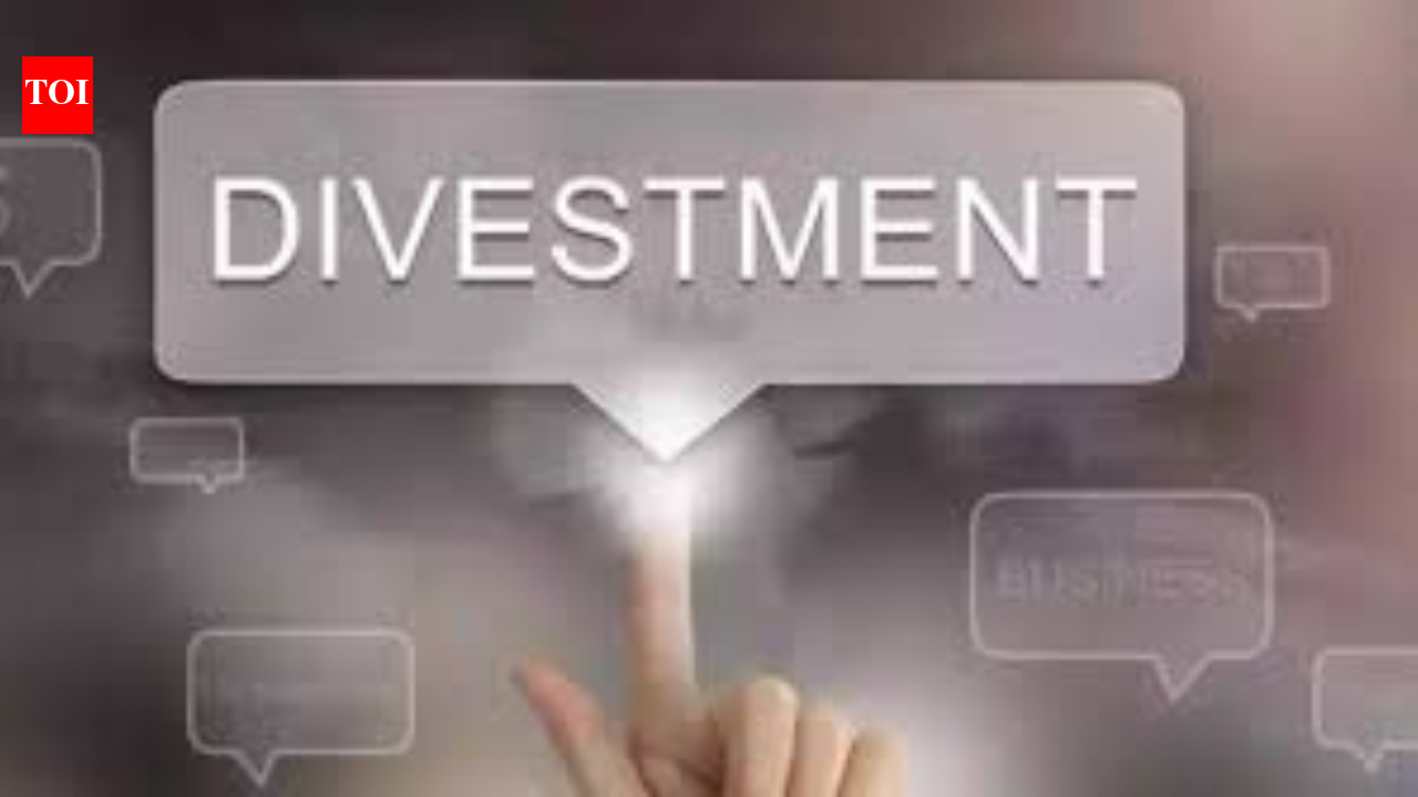 Government gets proposals to push divestment amid weak show