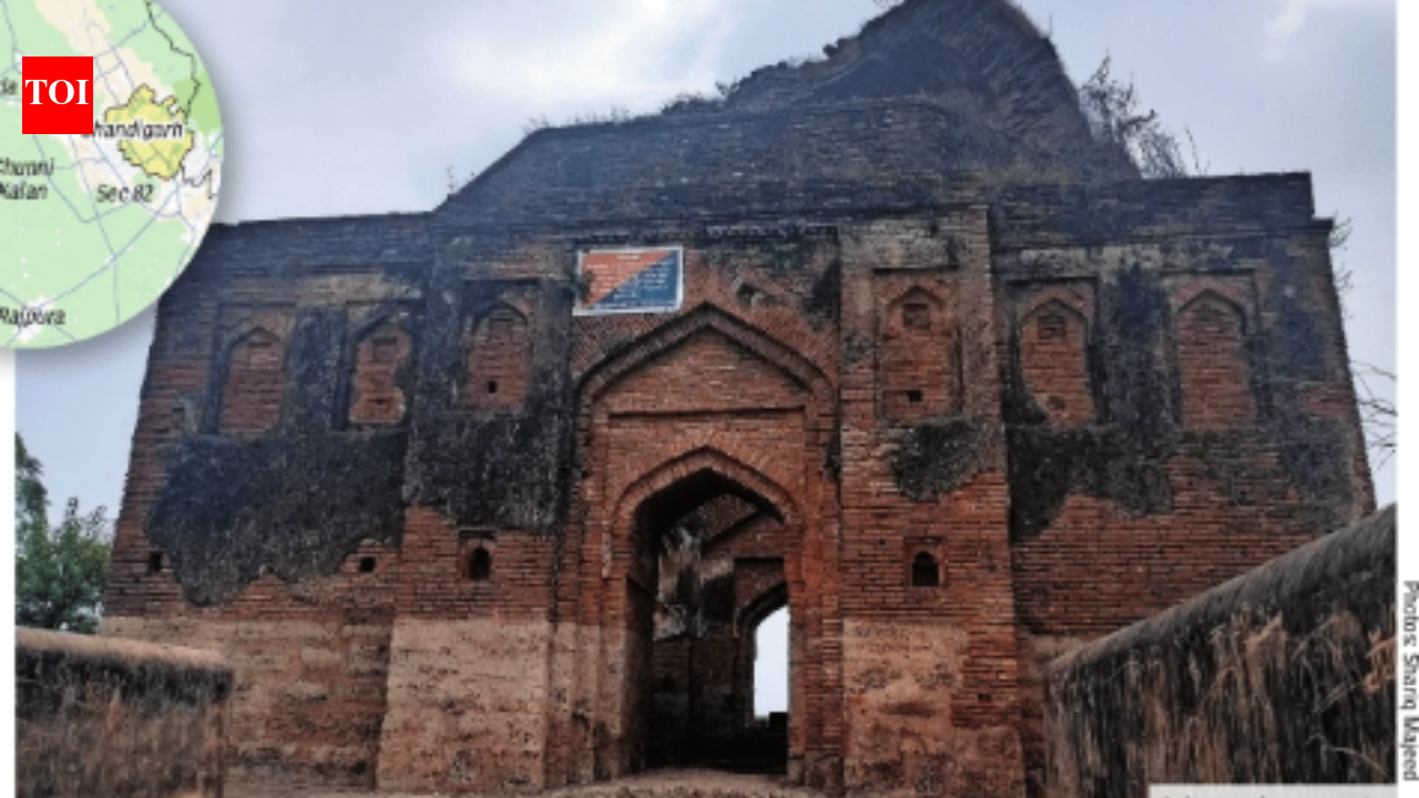 Is an archaeological marvel hiding near Chandigarh? | India News