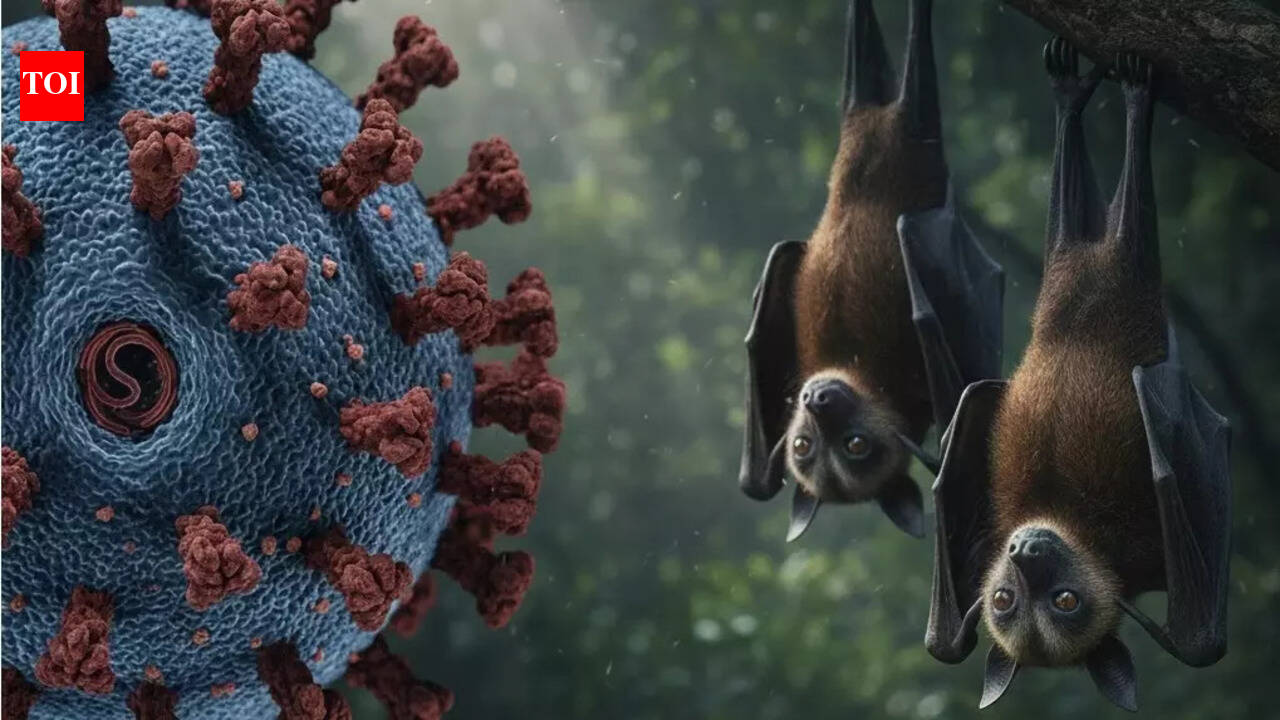 Nipah Virus Alert: Is the UAE at risk following the India outbreak?