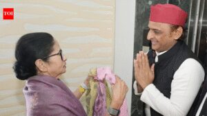 ‘Didi defeated ED, now she will defeat BJP’: Akhilesh Yadav meets Mamata Banerjee; extends support ahead of West Bengal polls | India News